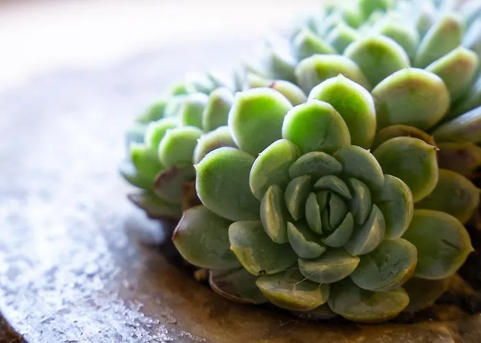 Διαμέρισμα Casa Eiras, Nº48 Santana (Madeira)